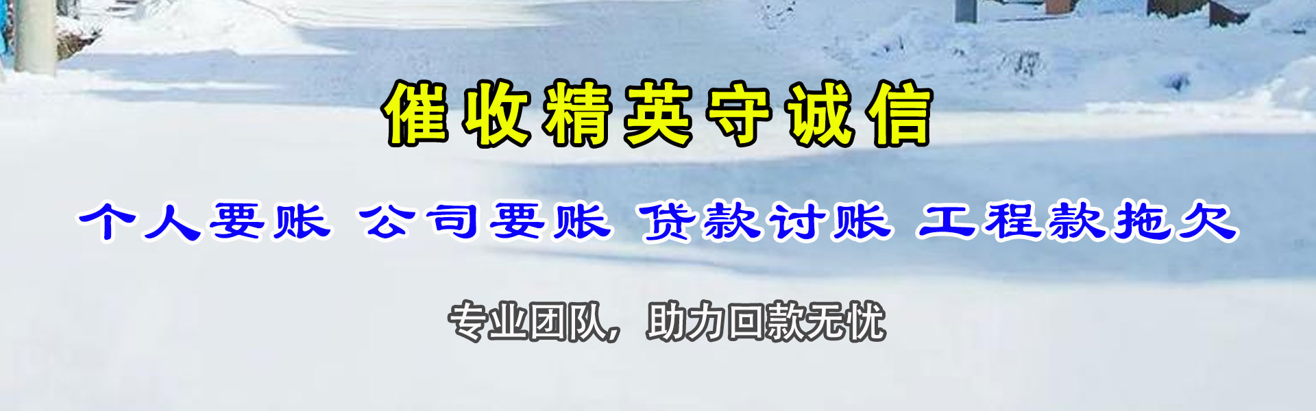定南讨账公司